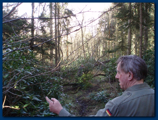 600x449 pixels (193K)